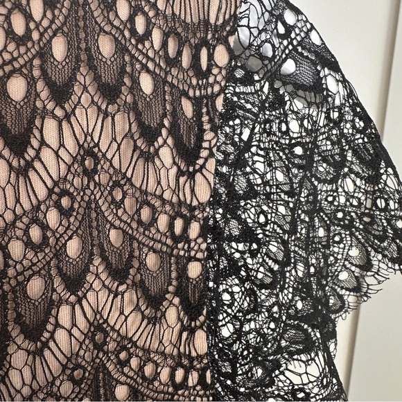 Ann Taylor Black Lace Overlay Blouse with Tan Cotton Lining Size Large - Picture 9 of 11